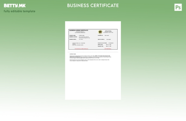 Модерен стил САД Калифорнија сертификат за деловна лиценца Шаблон за Word и PDF
